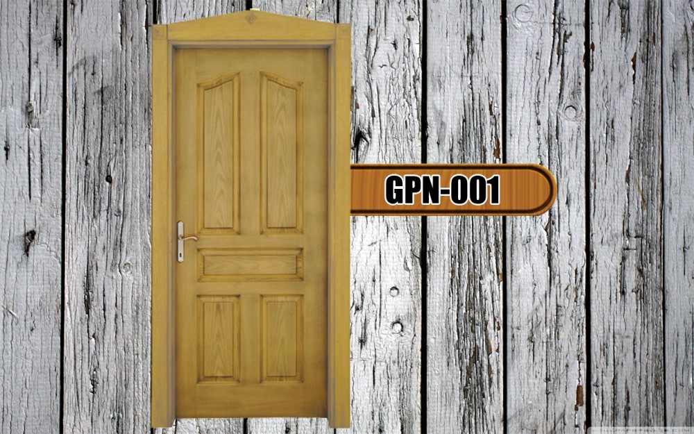 Panel (GPN-001)
